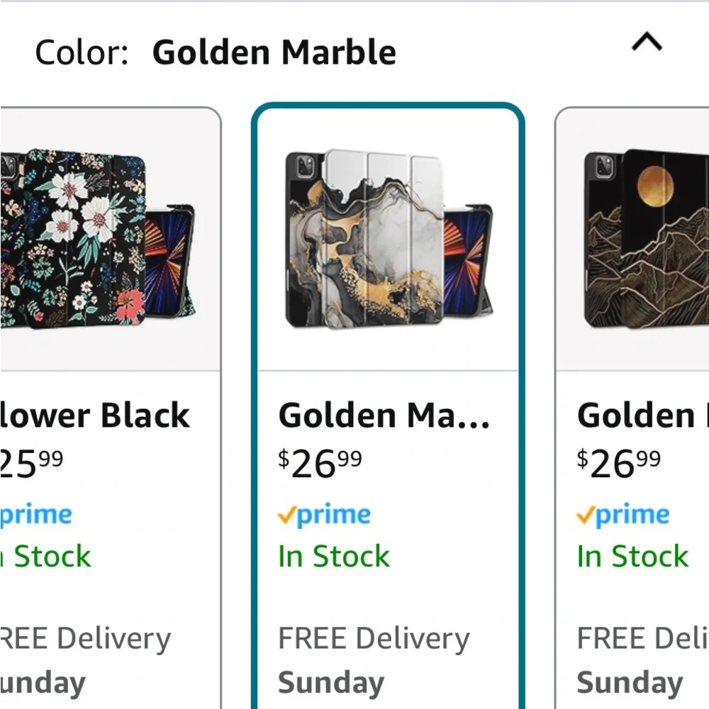 iPad Pro Protection Case
